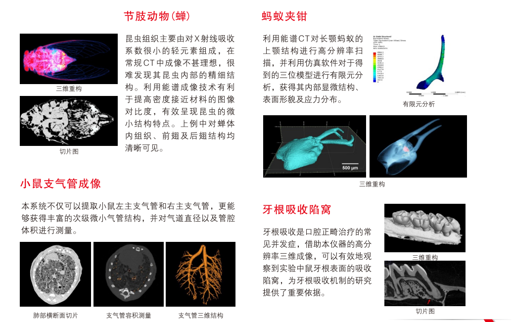 圖片2.png 圖片2.png